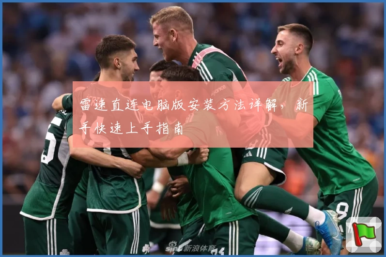 雷速直连电脑版安装方法详解，新手快速上手指南