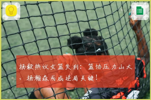 杨毅热议女篮失利：篮协压力山大，杨瀚森或成逆局关键！