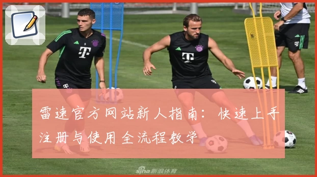 雷速官方网站新人指南：快速上手注册与使用全流程教学